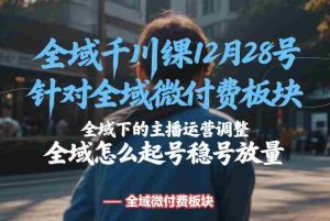 全域千川线下课12月28号，针对全域微付费板块，全域下的主播运营调整，全域怎么起号稳号放量-湘创网
