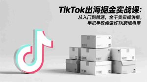 （17368期）TikTok出海掘金实战课：从入门到精通，全干货实操讲解，手把手教你做好TK跨境电商-湘创网