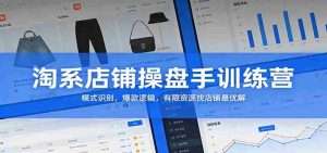 淘系店铺操盘手训练营：模式识别，爆款逻辑，有限资源找店铺最优解-湘创网