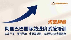 （17335期）阿里巴巴国际站进阶系统培训，实战干货、强可落地、全链路拆解，实现月均询盘量翻倍-湘创网