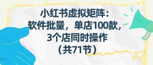 小红书虚拟矩阵：软件批量发笔记，单店100款，3个店同时操作（共71节）-湘创网