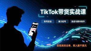 （17278期）TikTok带货实战课，涵盖账号安全、暴力起号、选品与脚本制作，实现高效出单，周入数千美元-湘创网