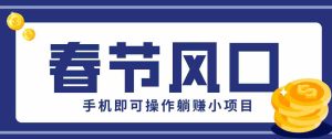快手极速版春节推广风口，一部手机就能上手，拉新20元/人平台助力躺赚小项目-湘创网