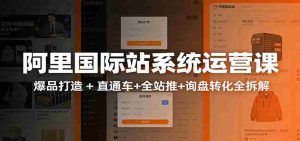 阿里国际站运营实战课：从店铺布局到TOP10旺铺，数据化运营，推广全攻略-湘创网