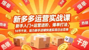 （17342期）拼多多运营实战课，新手入门+运营进阶、爆单打法，16节干货，助力新手店铺快速实现日出百单-湘创网