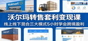 沃尔玛转售套利变现课：线上线下混合三大模式5小时学会跨境盈利-湘创网