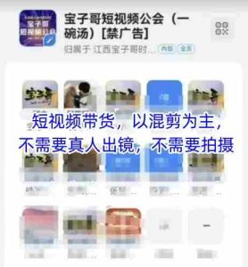 宝子哥头部团队短视频带货，以混剪为主，不需要真人出镜，不需要拍摄【更新26年3月】-湘创网
