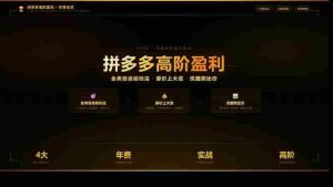 (17799期)拼多多高阶盈利年费会员(更新3月):全类目活动玩法、原价上大促、洗图防比价等核心盈利技术-湘创网