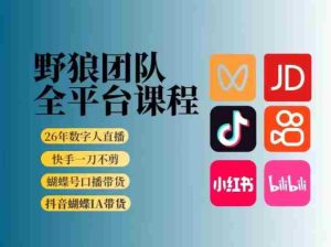 野狼团队2026新版全平台短视频带货教学，打开流量突破口，开始Ai带货（更新26年3月）-湘创网