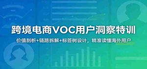 跨境电商VOC用户洞察特训:价值剖析+链路拆解+标签树设计,精准读懂海外用户-湘创网