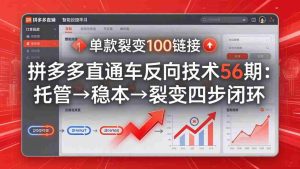 （17737期）拼多多直通车反向技术56期：托管→稳本→裂变四步闭环，单款裂变100链接抢占核心流量-湘创网