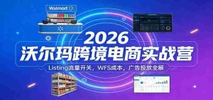 2026沃尔玛跨境电商实战营：Listing流量开关，WFS成本，广告投放全解-湘创网