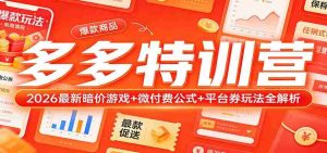 多多特训营(更新3月):2026最新暗价游戏+微付费公式+平台券玩法全解析-湘创网