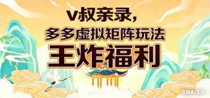 v叔亲录，多多虚拟矩阵玩法，王炸福利限时领取-湘创网