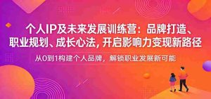 个人IP及未来发展训练营:品牌打造、职业规划、成长心法,开启影响力变现新路径-湘创网