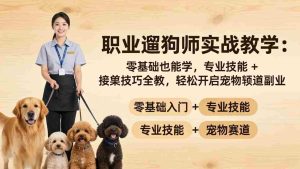 （18115期）职业遛狗师实战教学：零基础也能学，专业技能 + 接单技巧全教，轻松开启宠物赛道副业-湘创网