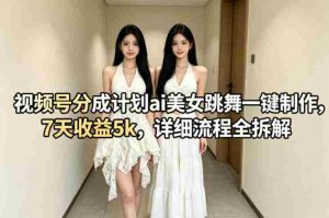 视频号分成计划ai美女跳舞一键制作，7天收益5k，详细流程全拆解-湘创网