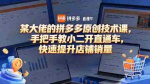 某大佬的拼多多原创技术课，手把手教小二开直通车，快速提升店铺销量-湘创网