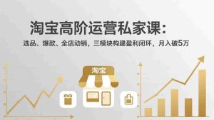 （17944期）淘宝高阶运营私家课（更新26年4月）：选品、爆款、全店动销，三模块构建盈利闭环，月入破5万-湘创网