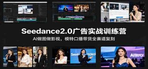 Seedance2.0广告实战训练营:AI做图做影视,模特口播带货全赛道复刻-湘创网