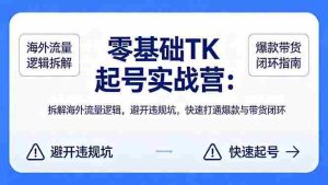 （18189期）零基础 TK 起号实战营：拆解海外流量逻辑，避开违规坑，快速打通爆款与带货闭环-湘创网
