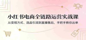 小红书电商全链路运营实战课:从变现方式、选品引流到直播售后,手把手教你出单-湘创网