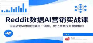 Reddit数据AI营销实战课:借鉴谷歌AI思路挖掘用户洞察,优化页面提升搜索排名-湘创网