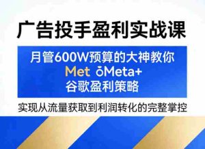 广告投手盈利实战课,月管600W预算的大神教你Meta+谷歌盈利策略,实现从流量获取到利润转化的完整掌控-湘创网
