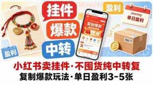 小红书卖挂件，不囤货纯中转复制爆款玩法，单日盈利3-5张-湘创网