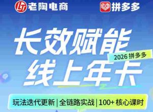拼多多线上SVIP线上年卡，从认知到基础、从推广到活动、从活动到玩法，全链路实战（26年4月6日更新）-湘创网