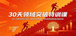 30天领域突破特训课：30×30高效成长法则，告别半途而废，在任意领域快速深耕见效-湘创网