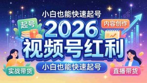 （18222期）2026视频号红利实战营，大佬亲授起号、内容、直播、IP、投流、私域、矩阵全套落地打法-湘创网