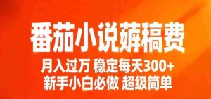 番茄小说赚稿费稳定300+每天，实操落地两年，新手小白必做，超级简单！-湘创网