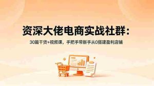 (18529期)资深大佬电商实战社群:30篇干货+视频课,手把手带新手从0搭建盈利店铺-湘创网