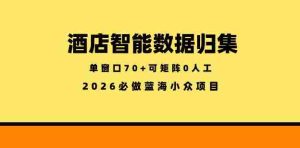 酒店智能数据归集，小众蓝海已经稳定半年之久，单窗口70+零成本矩阵开干【揭秘】-湘创网