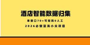 (18500期)酒店智能数据归集,小众蓝海已经稳定半年之久,单窗口70+零成本矩阵开干-湘创网