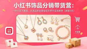 (18626期)小红书饰品分销带货营:一件代发不囤货,从选品到出单全程手把手实战教学(更新5月)-湘创网