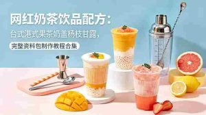（18557期）网红奶茶饮品配方：台式港式果茶奶盖杨枝甘露，完整资料包制作教程合集-湘创网