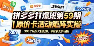 拼多多打爆班第59期|原价卡活动矩阵实操,300个链接大促起爆,单款裂变多链接-湘创网