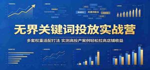 无界关键词投放实战营:多套权重适配打法,实测高投产案例轻松拉高店铺收益-湘创网