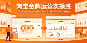 淘宝金牌运营实操班，从0开始系统解决你淘宝运营核心问题，手把手带你完成从小白到高手的蜕变-湘创网