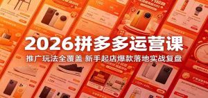 2026拼多多运营课:推广玩法全覆盖,新手起店爆款落地实战复盘-湘创网