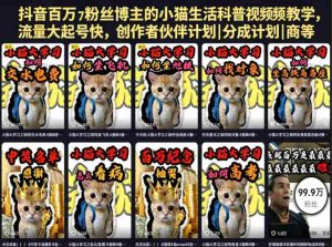 抖音百万粉丝博主的小猫生活科普视频教学，流量大起号快，创作者伙伴计划|分成计划|商单|收徒等-湘创网