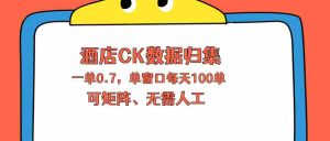 （18350期）上班也能玩的酒店CK数据归集，一单0.7单窗口每天可做100单，一个人就能矩阵操作-湘创网