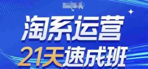 淘系运营21天速成班,0基础轻松搞定淘系运营,不做假把式,快速复制落地(更新26年5月)-湘创网