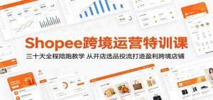 Shopee跨境运营特训课:三十天全程陪跑教学,从开店选品投流打造盈利跨境店铺-湘创网