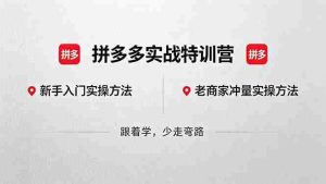 (18309期)拼多多实战特训营(更新5月3):不管是新手入门或老商家冲量,都有实操方法,跟着学,少走弯路-湘创网