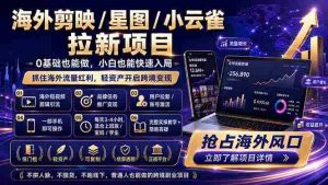 (18567期)海外剪映 / 星图 / 小云雀拉新项目 普通人也能上手的跨境流量变现副业-湘创网