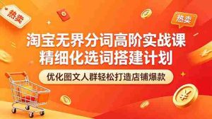 （18564期）淘宝无界分词高阶实战课 精细化选词搭建计划 优化图文人群轻松打造店铺爆款-湘创网