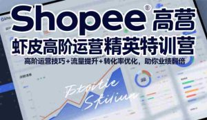 Shopee虾皮高阶运营精英特训营，高阶运营技巧+流量提升+转化率优化，助你业绩翻倍（更新26年5月）-湘创网
